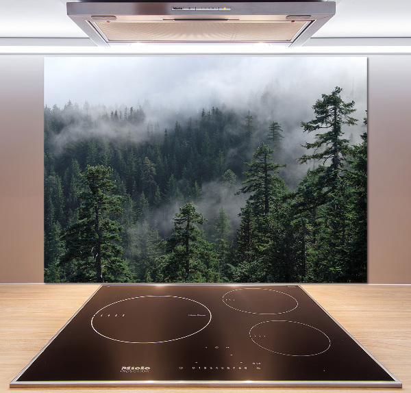 Cooker splashback Forest fog