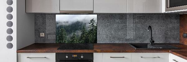 Cooker splashback Forest fog