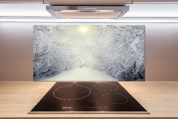 Cooker splashback A beautiful forest in winter