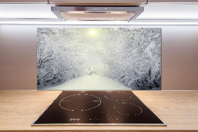 Cooker splashback A beautiful forest in winter