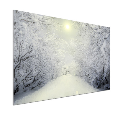 Cooker splashback A beautiful forest in winter