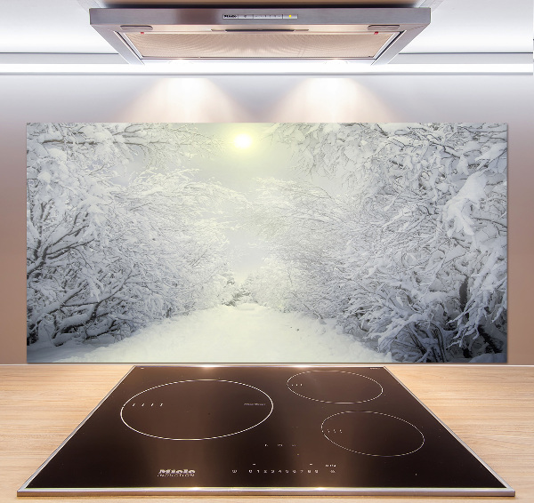 Cooker splashback A beautiful forest in winter