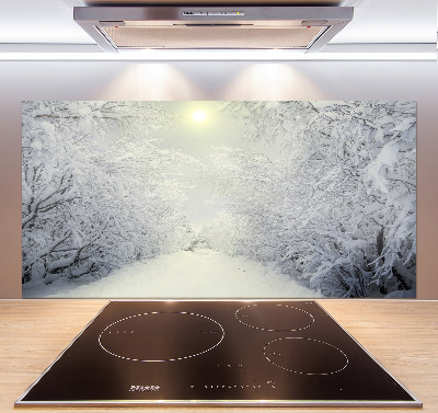 Cooker splashback A beautiful forest in winter