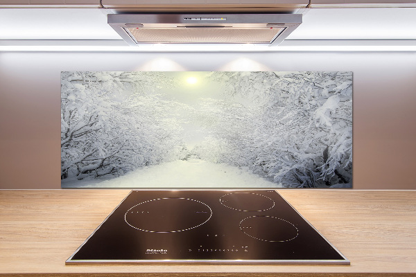 Cooker splashback A beautiful forest in winter