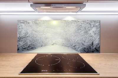 Cooker splashback A beautiful forest in winter