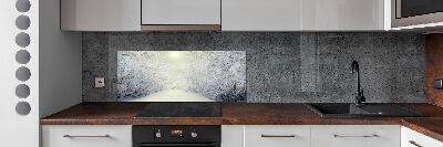 Cooker splashback A beautiful forest in winter