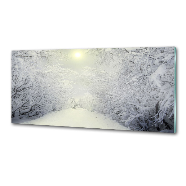 Cooker splashback A beautiful forest in winter