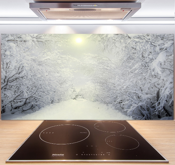 Cooker splashback A beautiful forest in winter