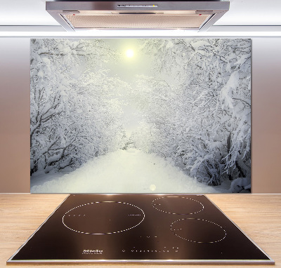 Cooker splashback A beautiful forest in winter