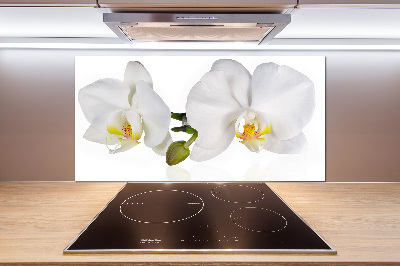 Cooker splashback Orchid