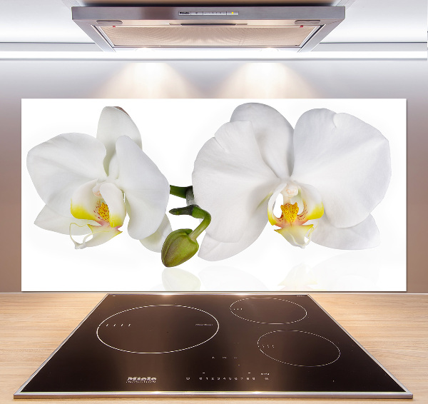 Cooker splashback Orchid