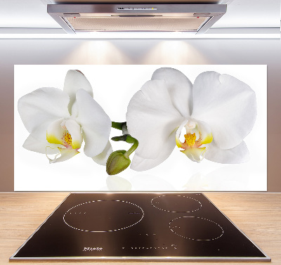 Cooker splashback Orchid