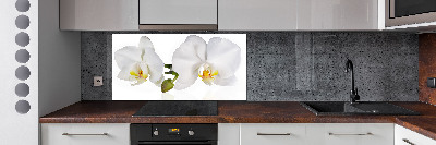 Cooker splashback Orchid