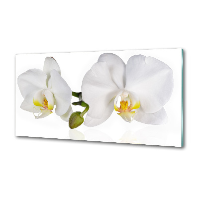 Cooker splashback Orchid