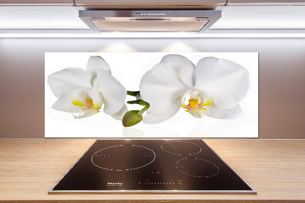 Cooker splashback Orchid