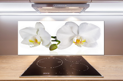 Cooker splashback Orchid