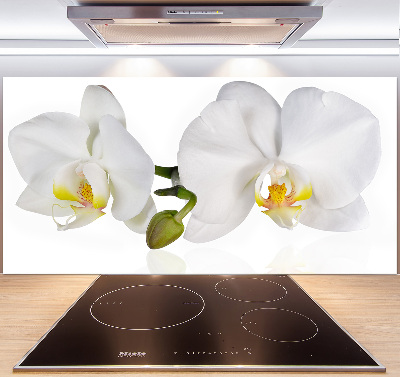 Cooker splashback Orchid