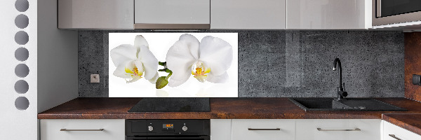 Cooker splashback Orchid