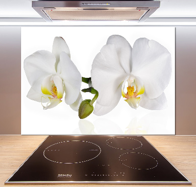 Cooker splashback Orchid