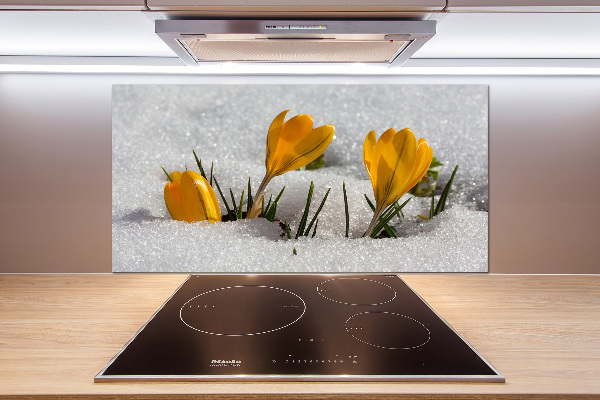 Cooker splashback Crocuses in the snow