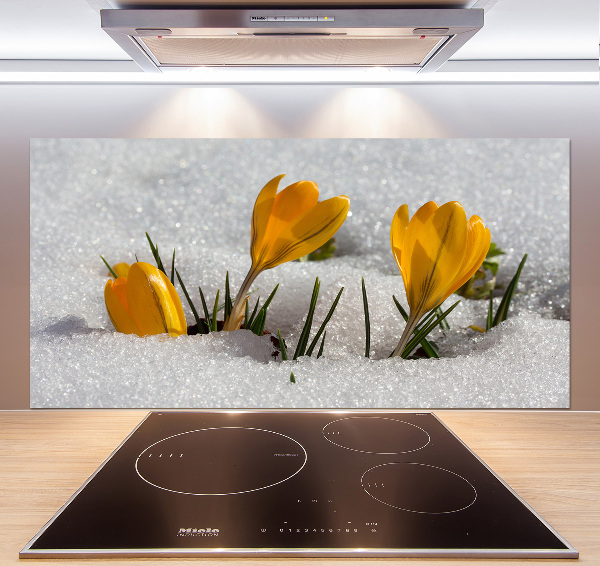 Cooker splashback Crocuses in the snow