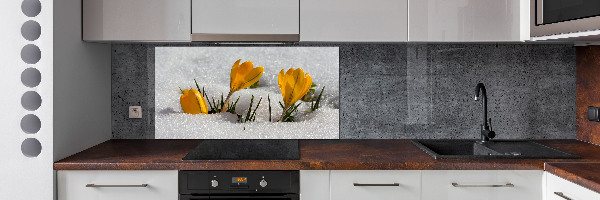 Cooker splashback Crocuses in the snow