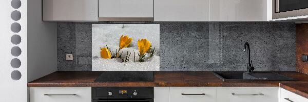 Cooker splashback Crocuses in the snow