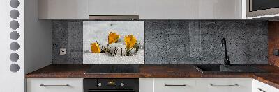 Cooker splashback Crocuses in the snow