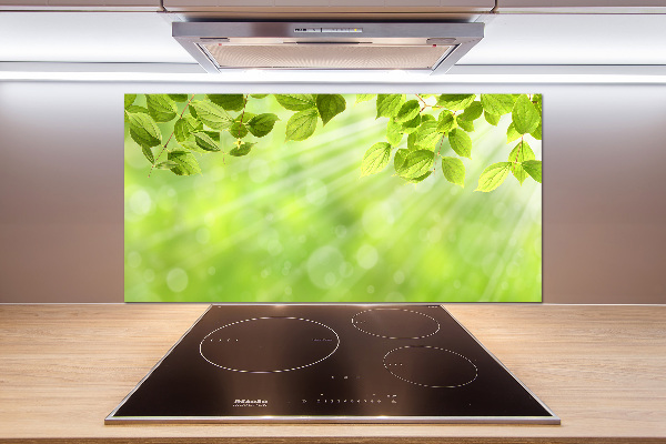 Cooker splashback Leaves