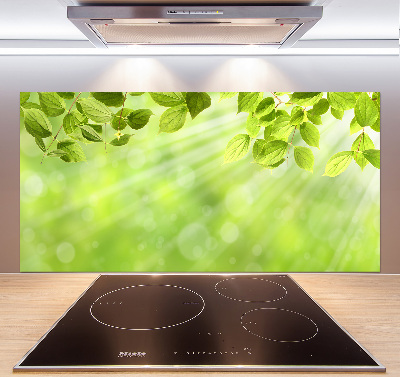 Cooker splashback Leaves