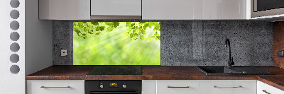 Cooker splashback Leaves