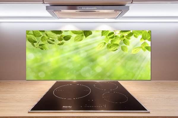 Cooker splashback Leaves