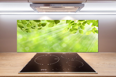 Cooker splashback Leaves