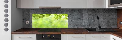 Cooker splashback Leaves