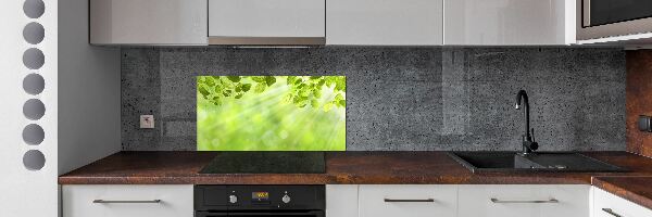 Cooker splashback Leaves