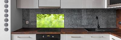 Cooker splashback Leaves