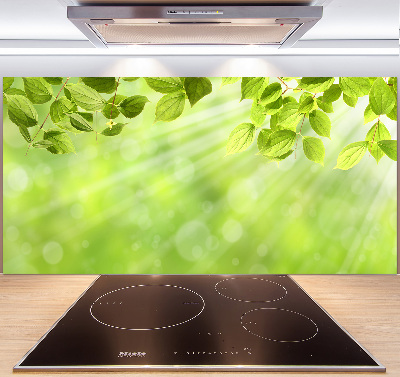 Cooker splashback Leaves