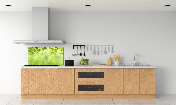 Cooker splashback Leaves