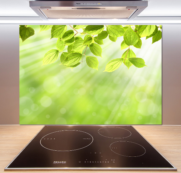 Cooker splashback Leaves