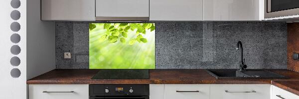 Cooker splashback Leaves