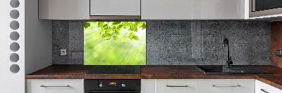 Cooker splashback Leaves