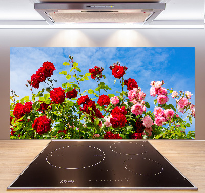 Cooker splashback Wild roses