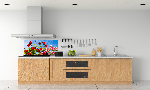 Cooker splashback Wild roses