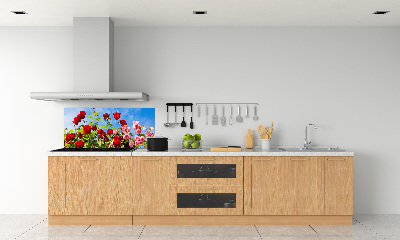 Cooker splashback Wild roses