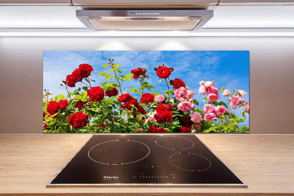 Cooker splashback Wild roses