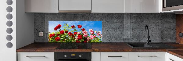 Cooker splashback Wild roses