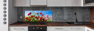 Cooker splashback Wild roses