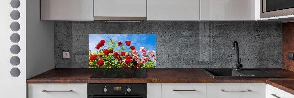 Cooker splashback Wild roses