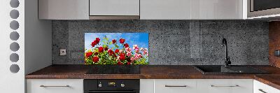 Cooker splashback Wild roses