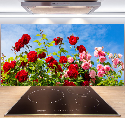 Cooker splashback Wild roses